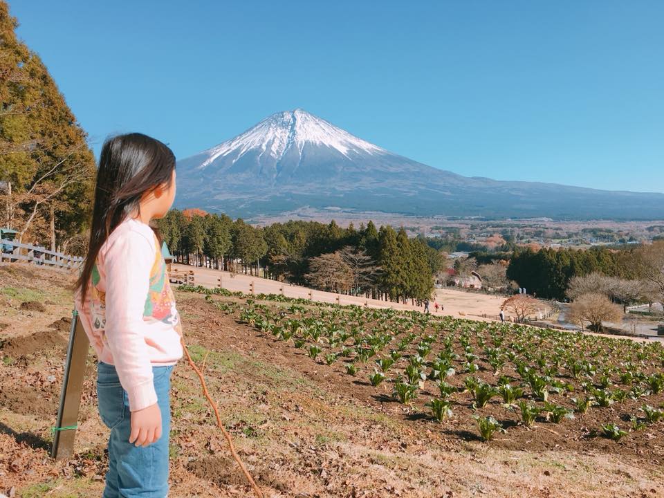 お子さまと富士山画像